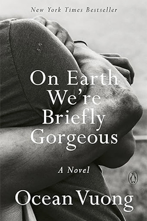 On Earth We're Briefly Gorgeous: A Novel