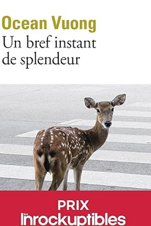 Un bref instant de splendeur